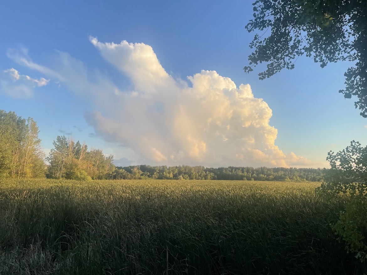 Grasslands with clouds